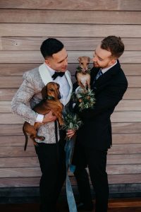 Husband and husband holding their dogs